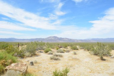 Uçsuz bucaksız kurak topraklar alçak çalılıklar ve kayalık oluşumlarla kaplı, sakin bir atmosfer yaratıyor. Dağlar ufukta görkemli bir şekilde yükselir ve huzur dolu manzarayı güçlendirir..