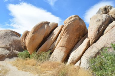 Uzun, pürüzsüz kayalar açık mavi gökyüzü ve ince bulutlara karşı gururla dururlar. Kuru otlar ve küçük çalılar bu çarpıcı oluşumların etrafını sarar ve çölün doğal güzelliğini gözler önüne serer..