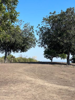 Parlak mavi bir gökyüzünün altında yemyeşil ağaçlar tarafından çerçevelenmiş sakin bir patika uzanır. Bu huzurlu manzara ziyaretçileri doğayı kucaklamaya ve çevreyi keşfetmeye davet ediyor..