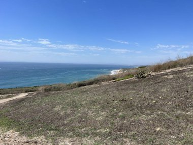 Uçsuz bucaksız bir okyanus, açık mavi gökyüzünün altında ufka kadar uzanıyor. Çimenli yamaç, kıyıya vuran hafif dalgalarla huzurlu bir geri çekilme sunuyor..