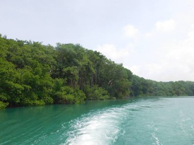Parlak mavi gökyüzünün altındaki yemyeşil mangrov ormanlarıyla çevrili ışıldayan turkuaz sularda bir tekne süzülüyor. Doğa bu huzurlu ortamda gelişir, maceraya davetiye çıkarır..