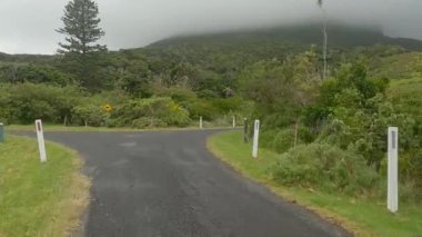 Gower Dağı 'na doğru sağ yoldan git. Lord Howe Woodhen işaretini geç.