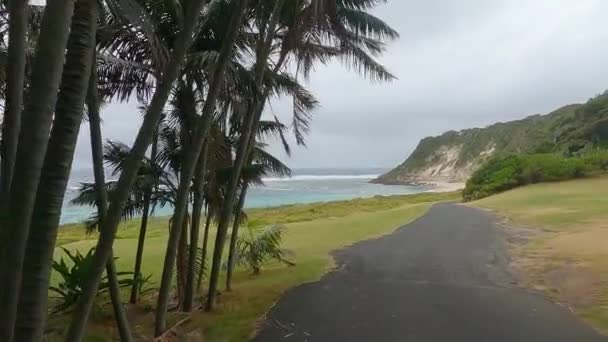 Emergendo Dalla Foresta Neds Beach Lord Howe Island Neds Beach — Video Stock