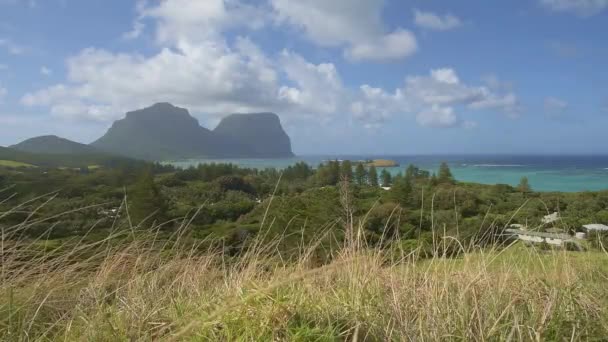 Surplombant Île Lord Howe Par Une Journée Ensoleillée Avec Herbe — Video