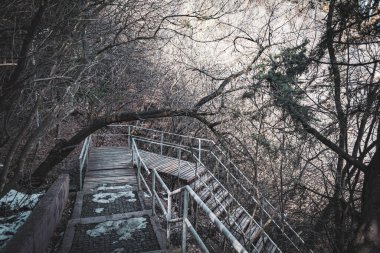 Patikalar ve adımlar, dağ yamacı boyunca Mtatsminda parkı (Tiflis) boyunca uzanan patikalar. Bir turist rotası.