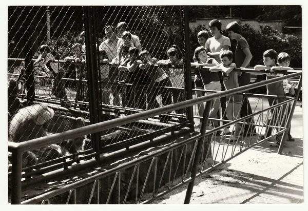 Foto vintage mostra as pessoas visitam ZOO . — Fotografia de Stock