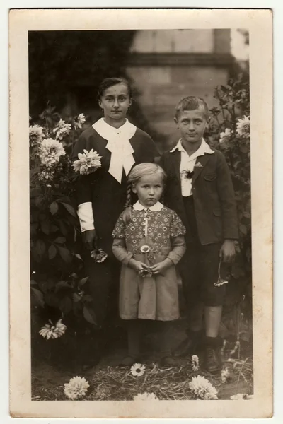 Vintage photo shows young woman with children (boy and girl) pose in the garden. Black & white antique photography.