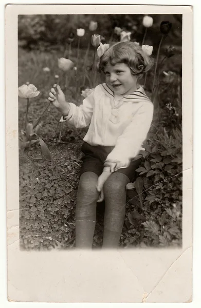 Alemania Circa 1950 Foto Vintage Muestra Linda Chica Sostiene Tulipán —  Fotos de Stock