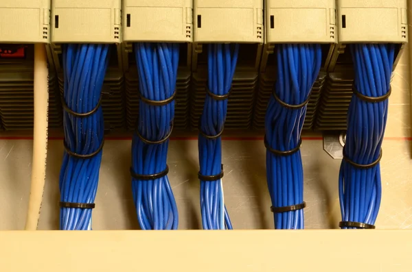 Closeup of electrical distribution board. Bundles of color (blue) wires.