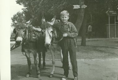 Retro fotoğraf eşekler çocukla parkta gösterir. Vintage siyah ve beyaz fotoğraf.