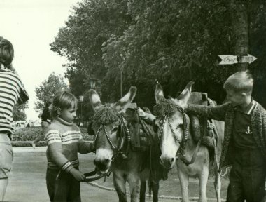 Retro fotoğraf eşekler çocuklarla parkta gösterir. Vintage siyah ve beyaz fotoğraf.