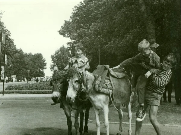 Foto retrô mostra crianças com burros no parque. Vintage preto & branco fotografia . — Fotografia de Stock