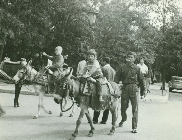 Foto retro muestra a los niños con burros en el parque. Vintage fotografía en blanco y negro . —  Fotos de Stock