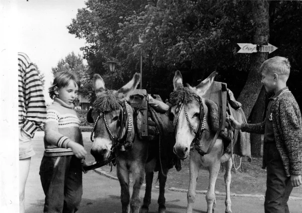Ретро-фото показывает детей с ослами в парке. Винтажная черно-белая фотография . — стоковое фото