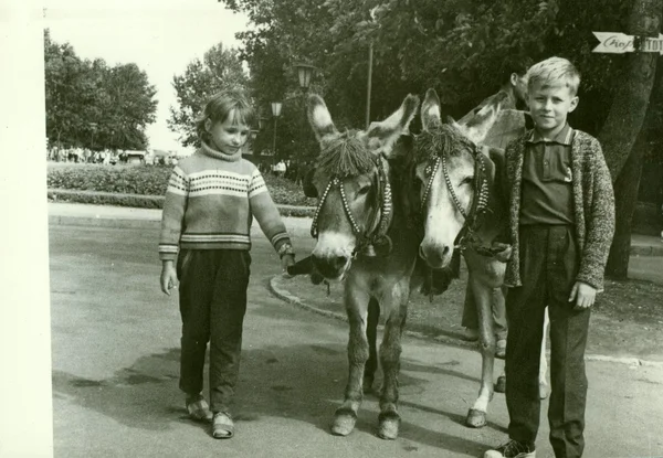 Retro fotoğraf eşekler çocuklarla parkta gösterir. Vintage siyah ve beyaz fotoğraf.