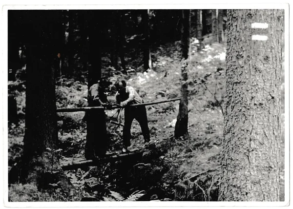 Retro foto zie je vrijwilligers bouwen voetgangersbrug in het forest. Zwarte & witte vintage fotografie — Stockfoto