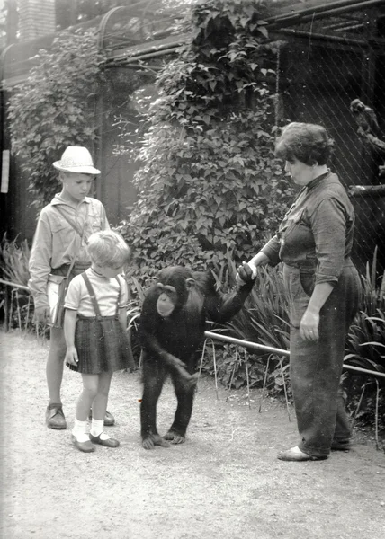 Retro fotka ukazuje šimpanze a chovatele zoo s dětmi. Černá & bílá fotografie — Stock fotografie