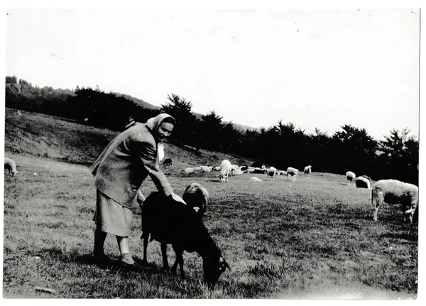 Foto retro muestra mujer rural con una oveja negra. Fotografía vintage en blanco y negro . — Foto de Stock