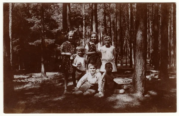 Vintage fotoğraf ormanda çocuklar gösterir. Retro siyah & beyaz fotoğraf. — Stok fotoğraf
