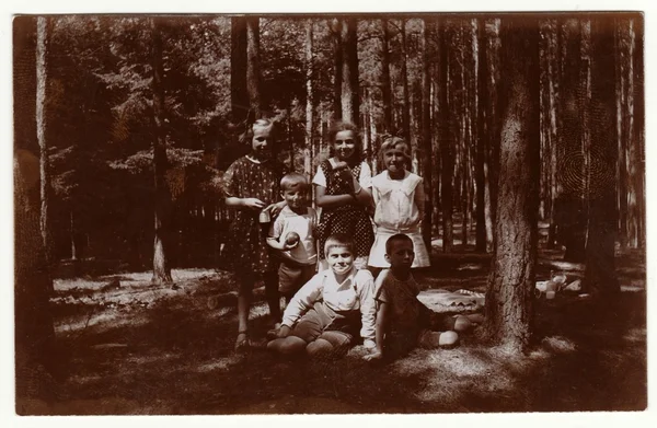 Vintage fotó mutatja a gyermekeket az erdőben. Retro fekete reggeli fehér fotózás. — Stock Fotó