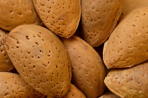 Almendras con conchas. Primer plano. La imagen macro se puede utilizar como fondo . —  Fotos de Stock