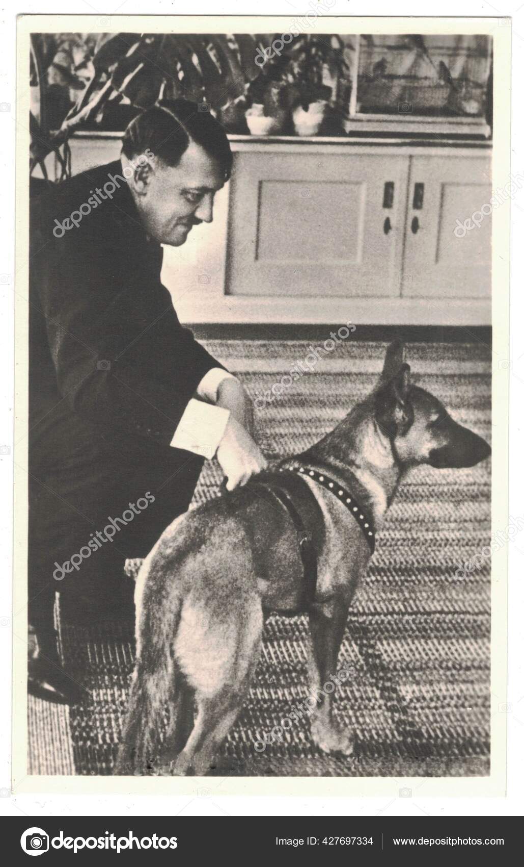 ヒトラーはナチス　Germany　Circa　Haus　ドイツの指導者だった　アドルフ　ヒトラーと彼の犬　Wachenfeld　ストックエディトリアル用写真©RomanNerud＃427697334　1940　アンティーク写真の複製