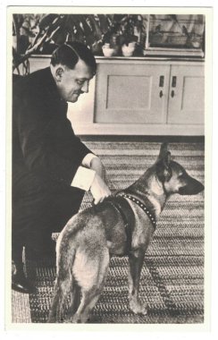 HAUS WACHENFELD, ALMANY - 1940 Adolf Hitler ve köpeği. Hitler, Nazi Almanyası 'nın lideriydi. Antika fotoğrafın kopyası..