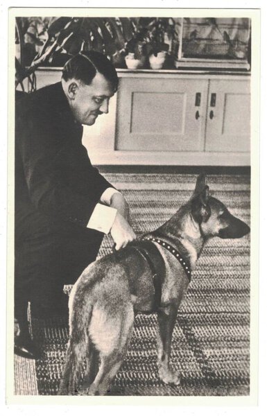 HAUS WACHENFELD, GERMANY - CIRCA 1940: Адольф Гитлер и его собака. Гитлер был лидером нацистской Германии. Воспроизведение антикварной фотографии.