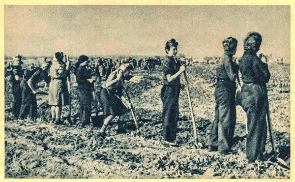 Europe Est 1944 Les Femmes Les Jeunes Filles Travaillent Sur — Photo