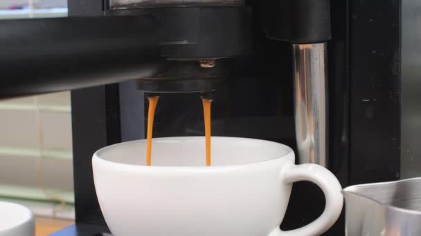 Haciendo café fresco saliendo de una cafetera expreso. Espresso vertiendo desde la máquina de café — Vídeos de Stock