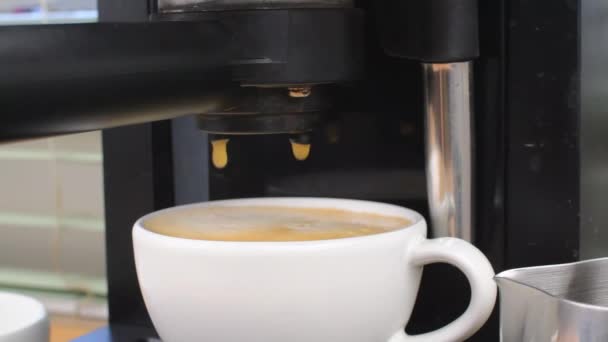 Espresso coffee drops into the filled cup from the coffee machine. Black coffee drops into the filled cup from the coffee machine — Stockvideo