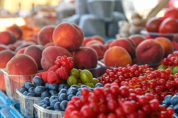 Красная смородина, малина, крыжовник, черника, персики и другие фрукты и овощи для продажи на местном фермерском рынке. Свежие органические продукты для продажи на местном фермерском рынке — стоковое фото
