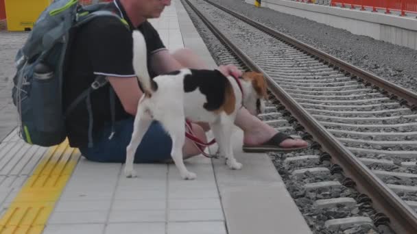 Resenären väntar vid järnvägsstationen. Äldre backpacker och hans beagle dog. Man smeker sin hängivna hund — Stockvideo