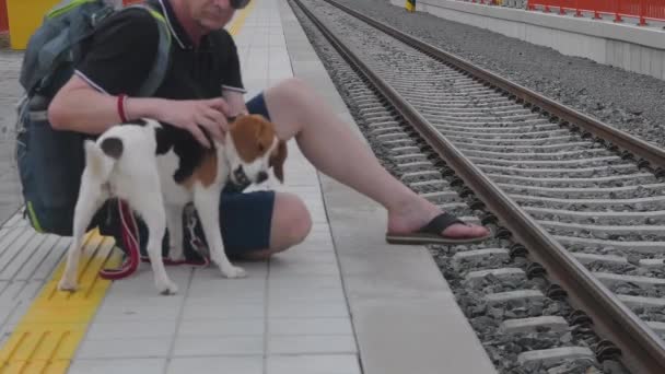 Podróżnik czeka na stacji kolejowej. Starszy turysta i jego pies gończy. Mężczyzna głaskający swojego oddanego psa gończego. Właściciel głaszczący psa. Zbliżenie szczęśliwego psa. Właściciel uwielbia zwierzęta. Ludzie i zwierzęta — Wideo stockowe