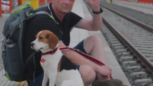 O viajante está esperando na estação ferroviária. Mochileiro mais velho e o seu cão beagle. Viajante de pé e indo embora — Vídeo de Stock