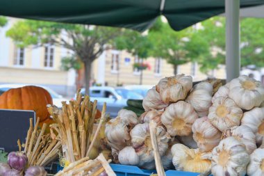 Yerel çiftçi pazarında satılık sarımsak, kabak ve diğer meyve ve sebzeler. Yerel çiftçi pazarında satılık taze organik ürünler