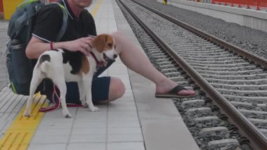 Traveller tren istasyonunda bekliyor. Yaşlı sırt çantalı ve av köpeği. Adam sadık köpeğini okşuyor.