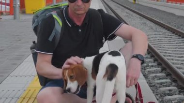 Traveller tren istasyonunda bekliyor. Yaşlı sırt çantalı ve av köpeği. Adam sadık av köpeğini okşuyor. Sahibi elle okşayan köpek. Mutlu köpeğe yakın çekim. Sahibi aşk hayvanı. İnsan ve hayvan