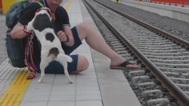 Путешественник ждет на вокзале. Старший турист и его ищейка. Человек гладит своего преданного пса. Владелец ласкает собаку. Крупный план счастливой собаки. Владелец любит домашних животных. Человек и животное — стоковое видео