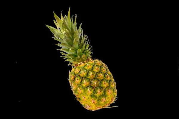 Ananasové plody izolované na černém pozadí. Zralý ananas izolované na černém pozadí — Stock fotografie