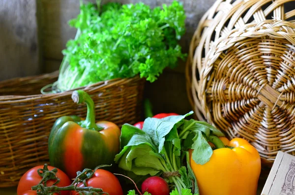 Tomates, rábanos, pimientos, perejil y canasta de mimbre — Foto de Stock