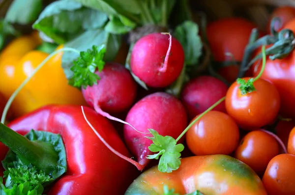 Tomates, rábanos, pimientos, perejil y canasta de mimbre — Foto de Stock