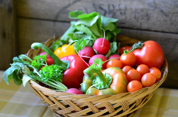 Tomates, rábanos, pimientos, perejil y canasta de mimbre — Foto de Stock