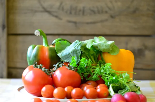 Tomaten, Radieschen, Paprika, Petersilie und Weidenkorb — Stockfoto