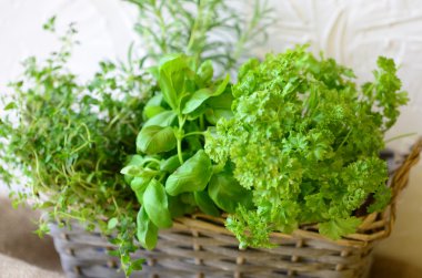 Frenk soğanı, kekik, fesleğen, biberiye ve maydanoz wickerwork sepeti