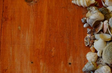 Kabukları kahverengi ahşap zemin üzerinde