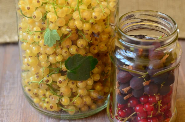 Gooseberries และ currants ในขวดเพื่อเตรียม . — ภาพถ่ายสต็อก