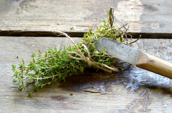 Thymianbüschel mit Vintage-Spezialmesser zum Schneiden von Kräutern. — Stockfoto