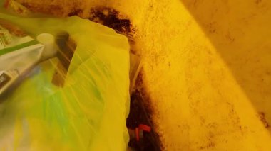 Açık çöp konteynerlerine bakın. Çöp dolu konteynır..