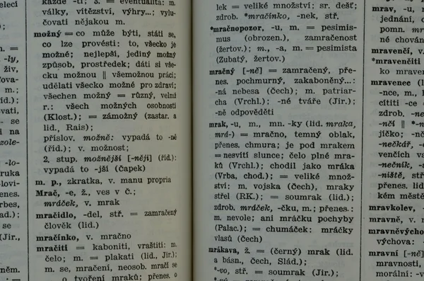펼친된 체코어 사전입니다. 근접 페이지, 빈티지 동기 — 스톡 사진